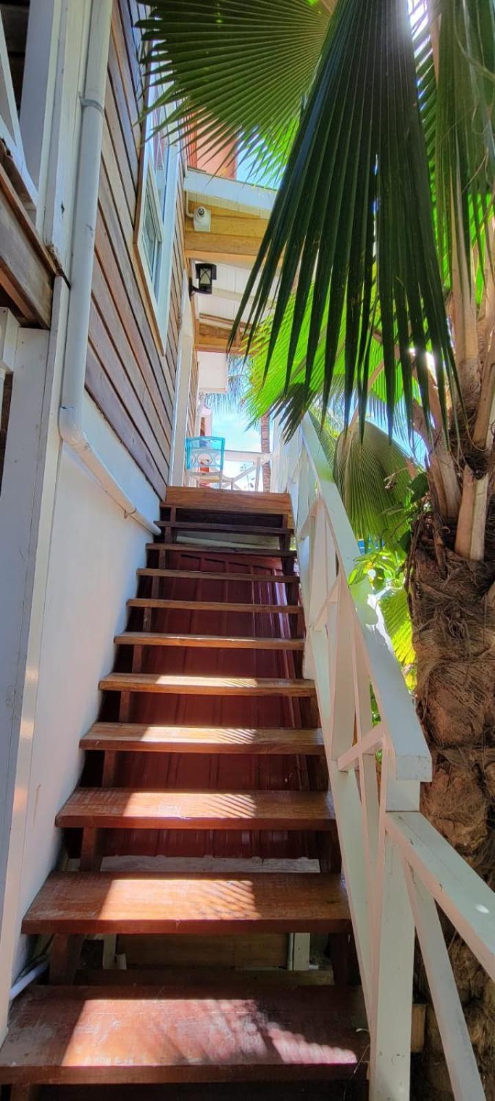 Caye Caulker Boutique Guesthouse 6 Luaran gambar